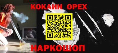 гидра Будённовск
