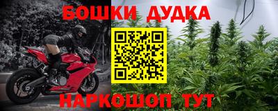 гидра Будённовск