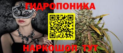 гидра Будённовск