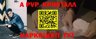 гидра Будённовск