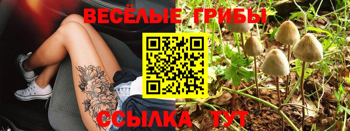 Галлюциногенные грибы мухоморы  как найти закладки  Беслан  Галлюциногенные грибы Psilocybine cubensis  Вход с VPN 